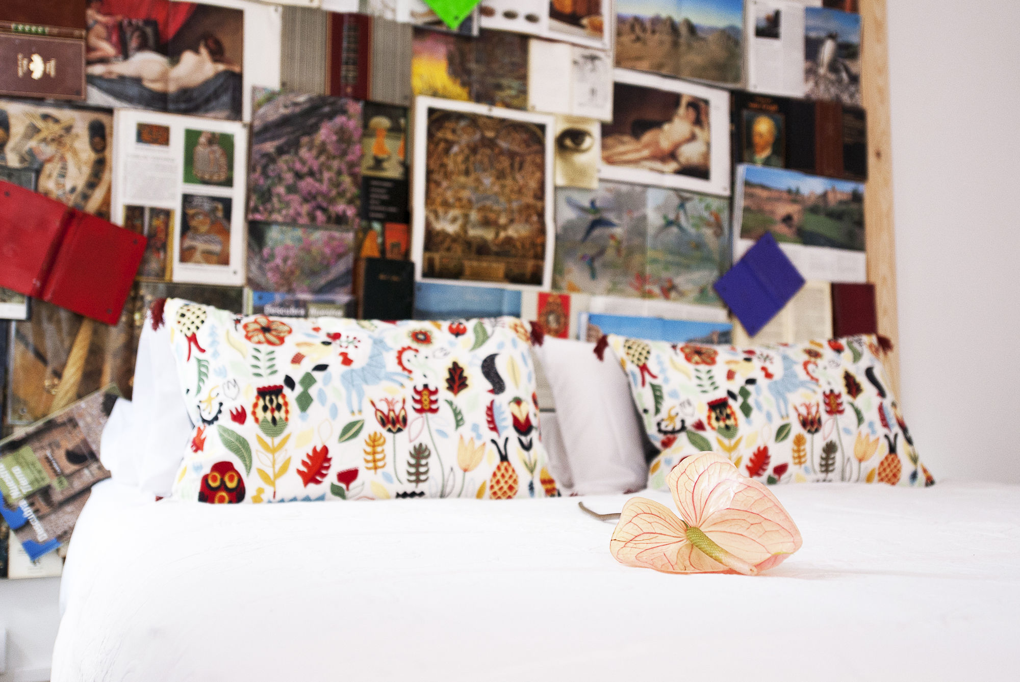 Фото Guesthouse Katanka