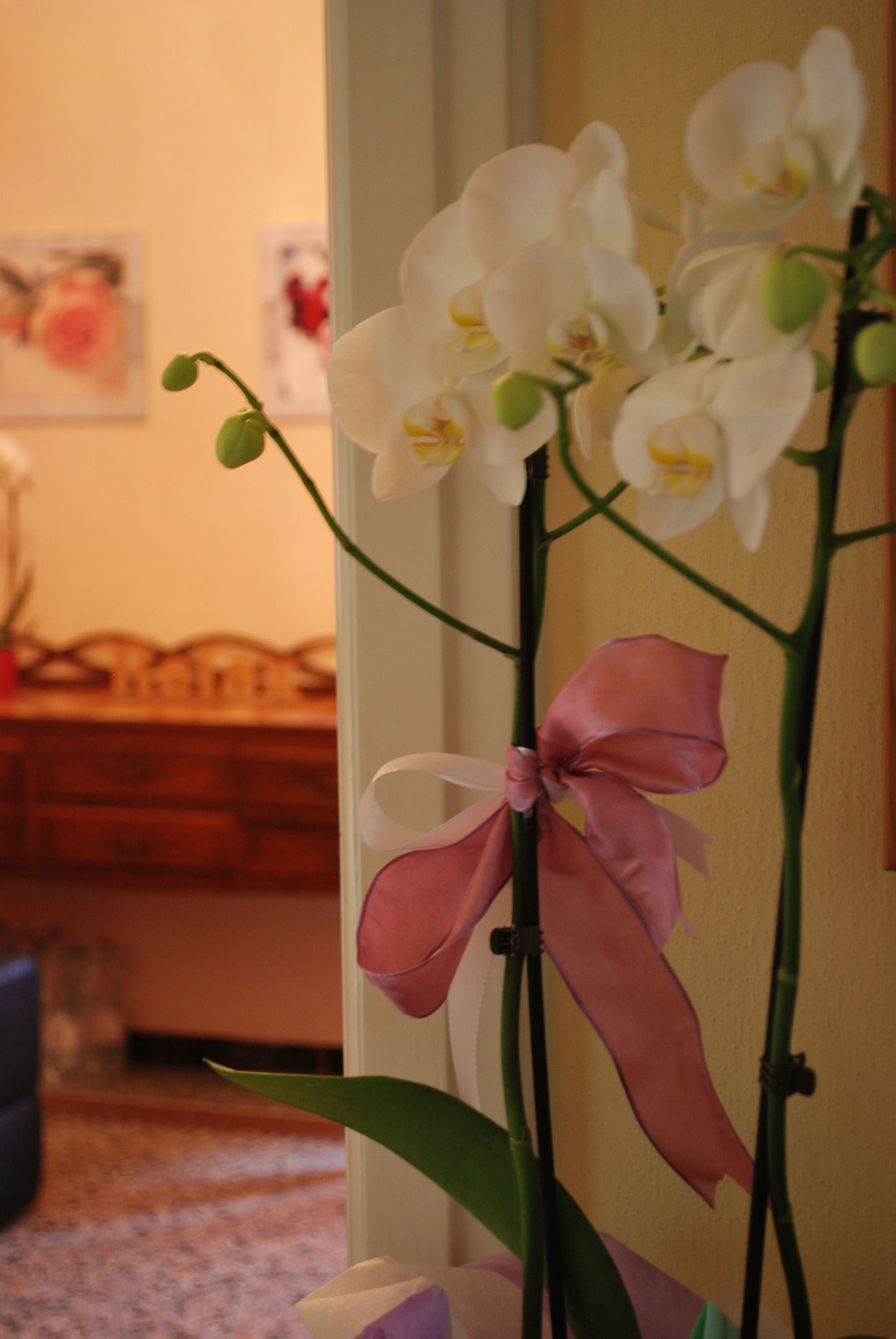 Фото Вилла Catelli B&b