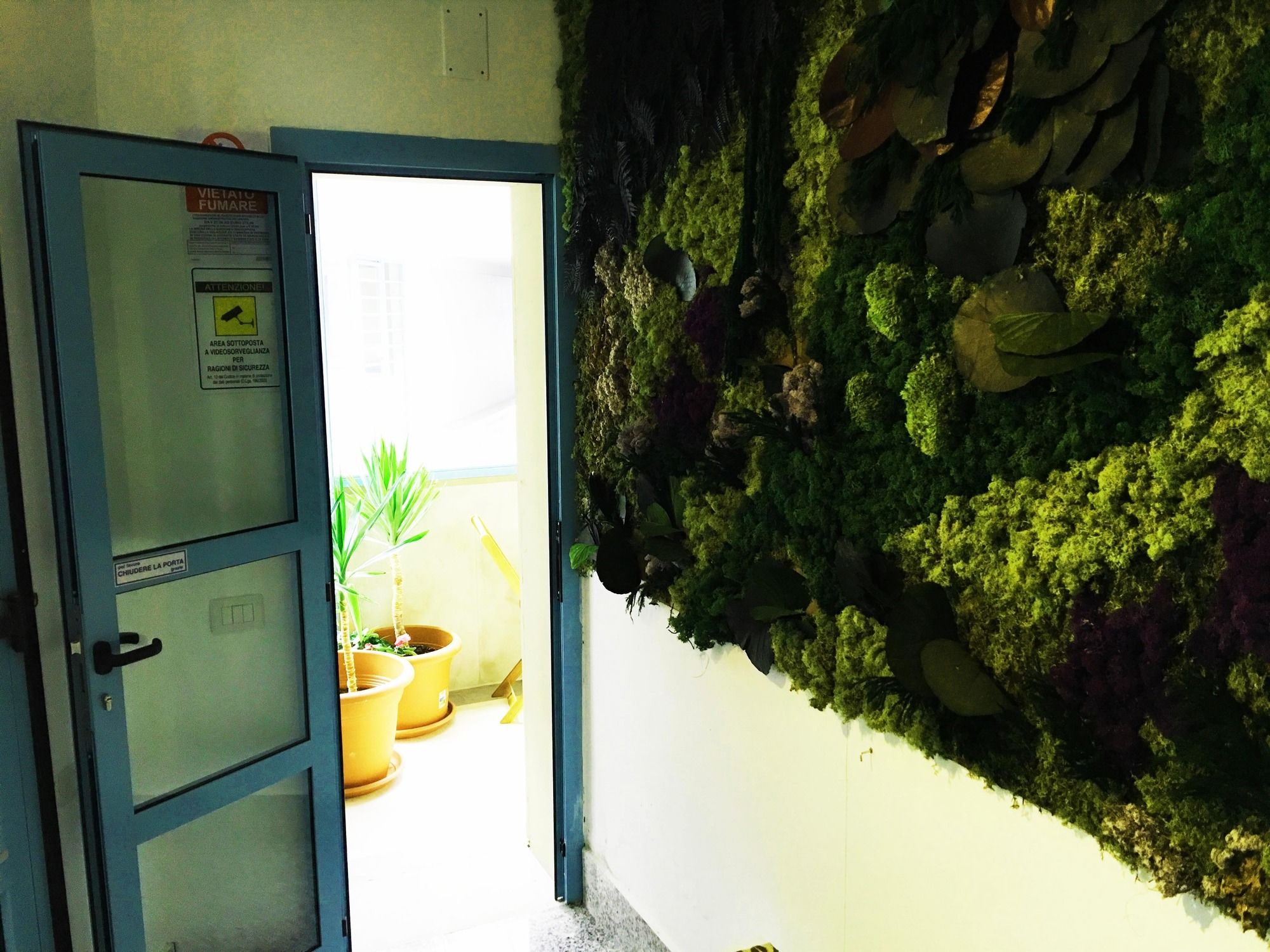 Фото Piazza Mulino 26