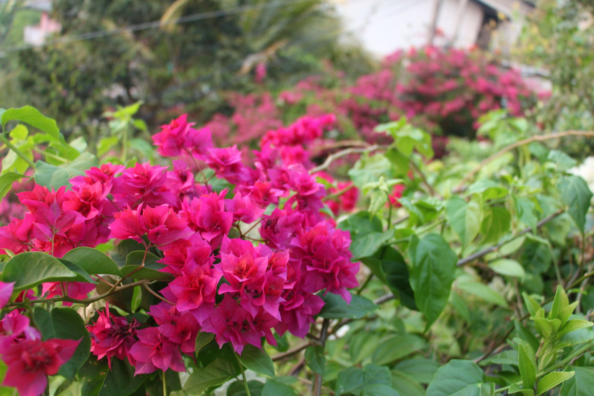 Фото The Richmond House Grand