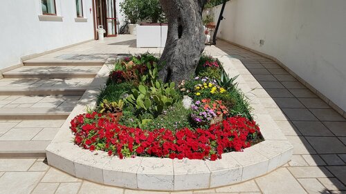 Внешний вид отеля Hotel Victoria в Каровиньо, фото 5