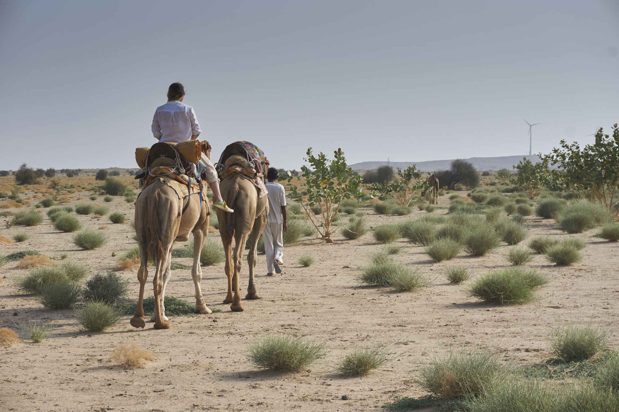 Фото Hotel Royal Haveli