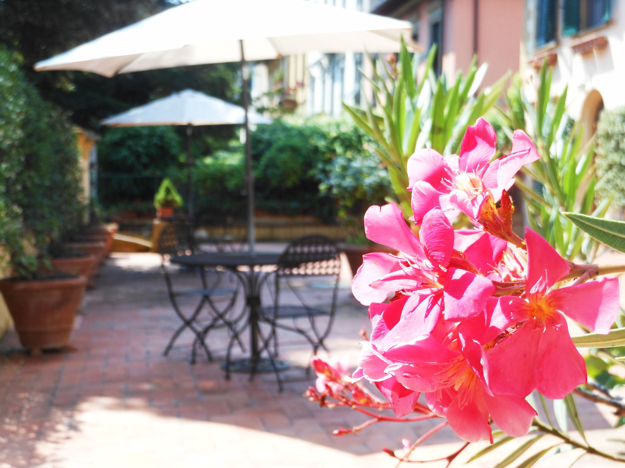 Фото Poggio Imperiale Apartments