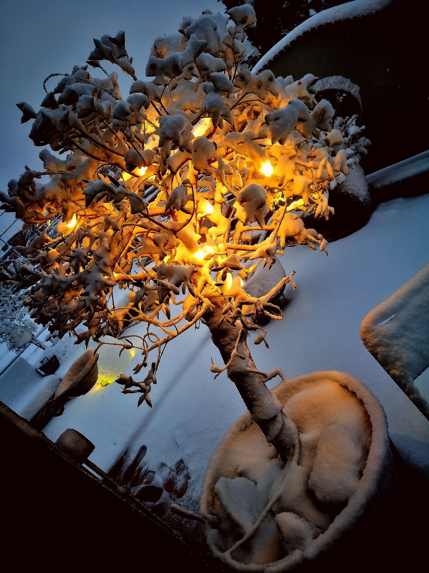 Фото Abbraccia Morfeo