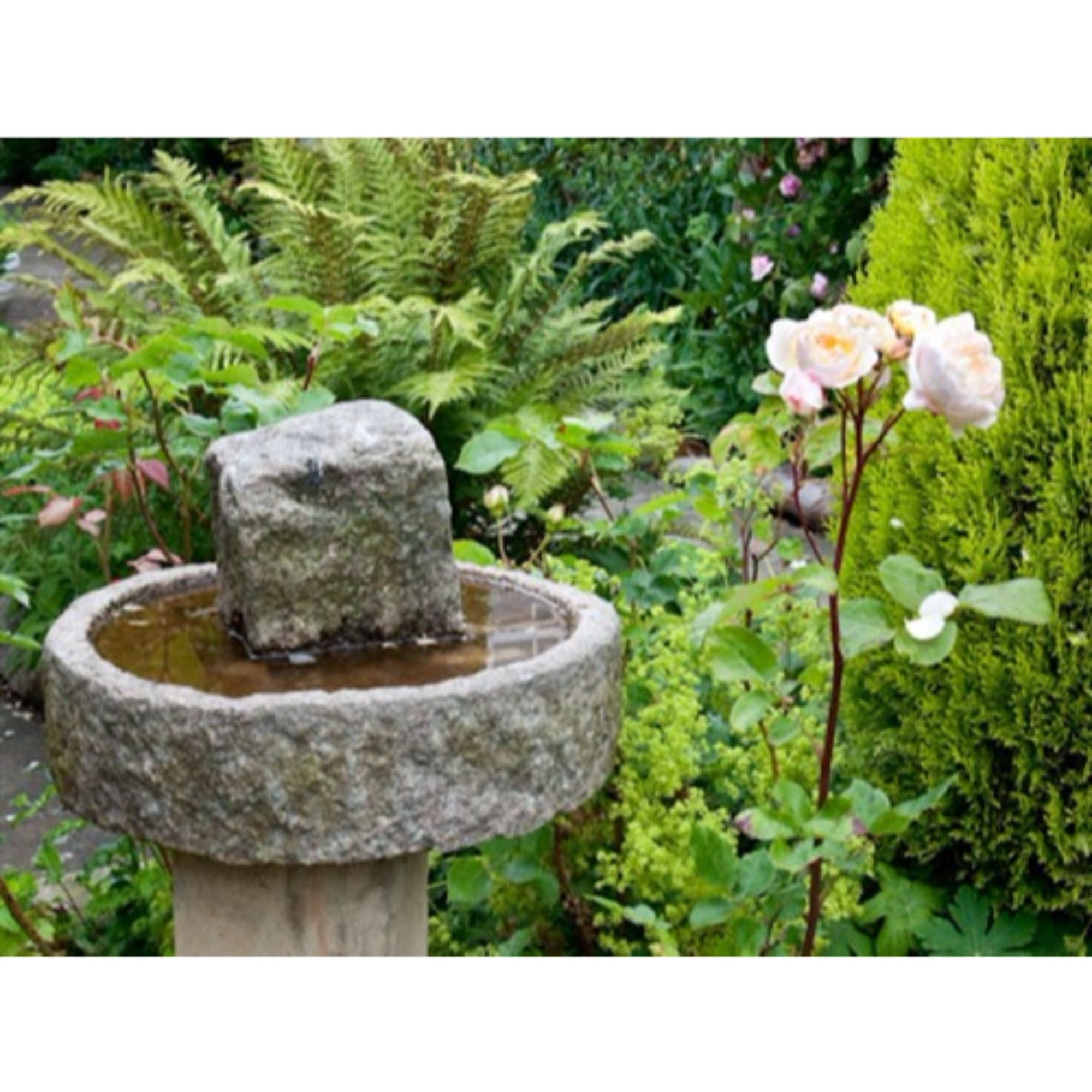 Фото Homelands Guest House