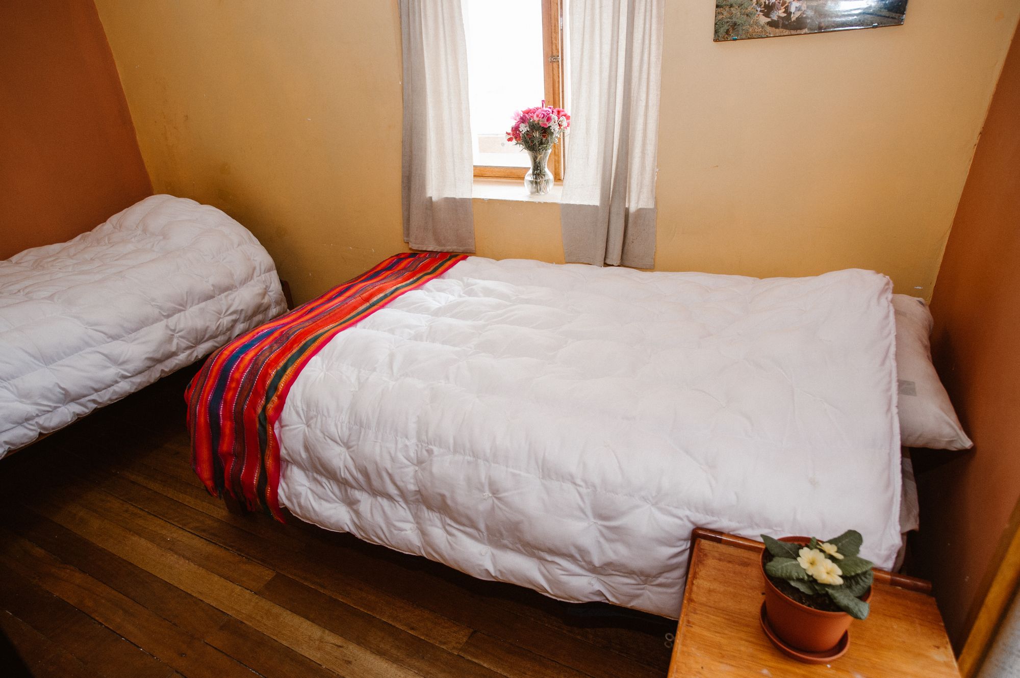 Фото Hotel Casa Suecia - Hostel