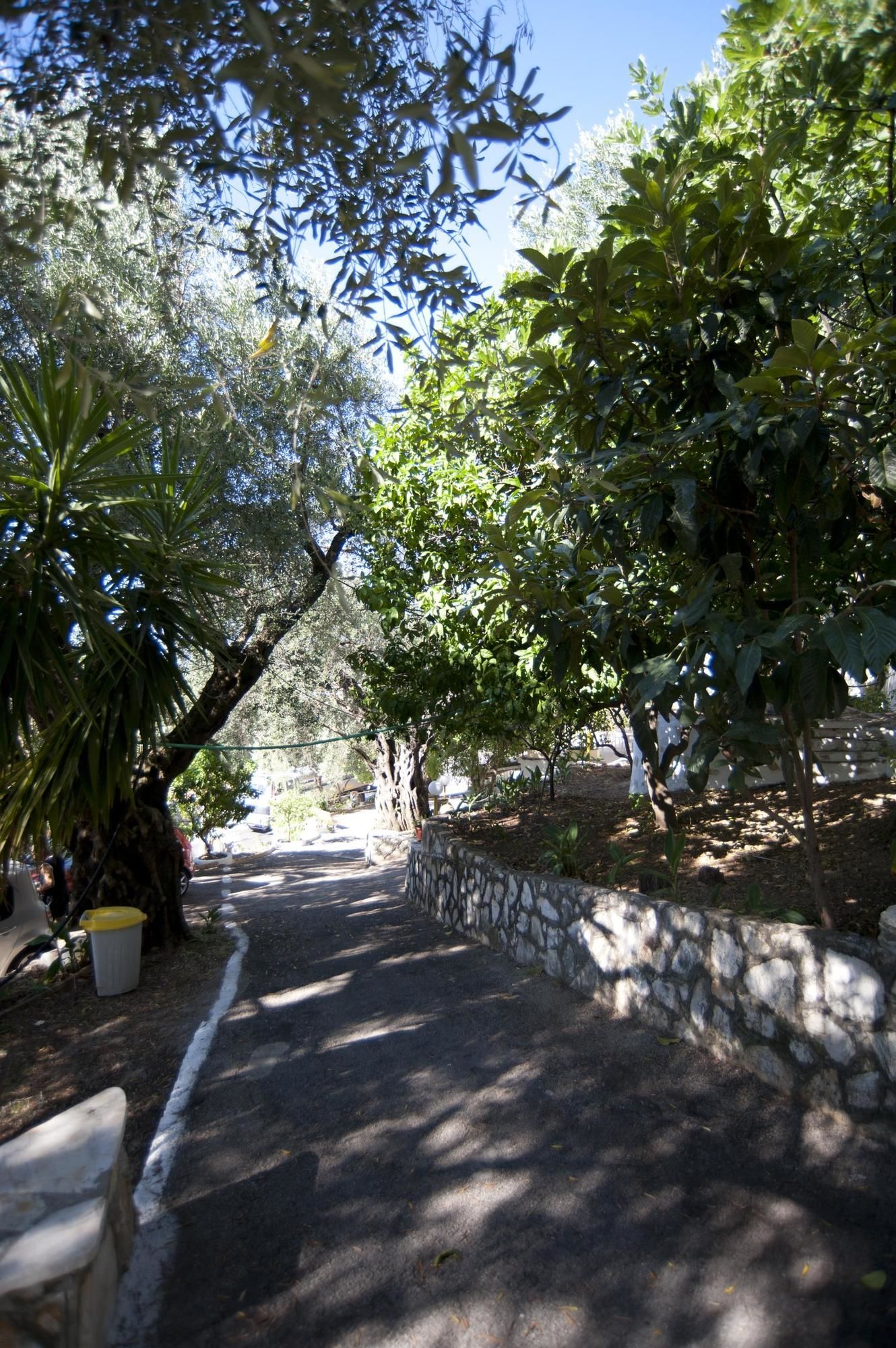 Фото Paradise Apartments