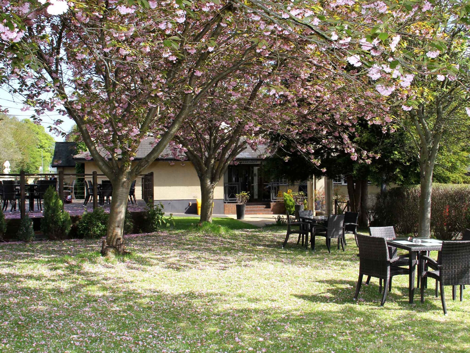 Фото Honest Lawyer Hotel