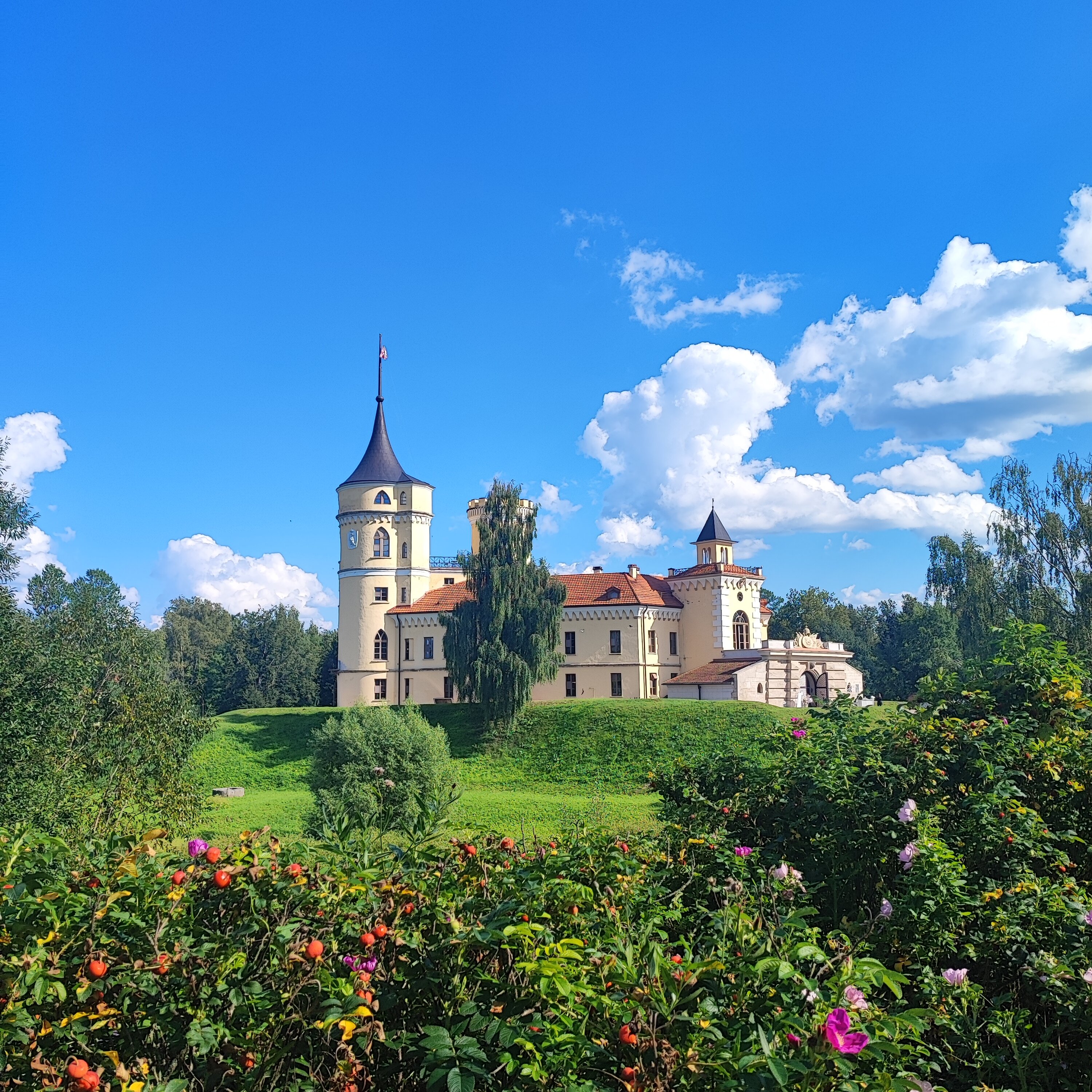 Фото Замок Бип