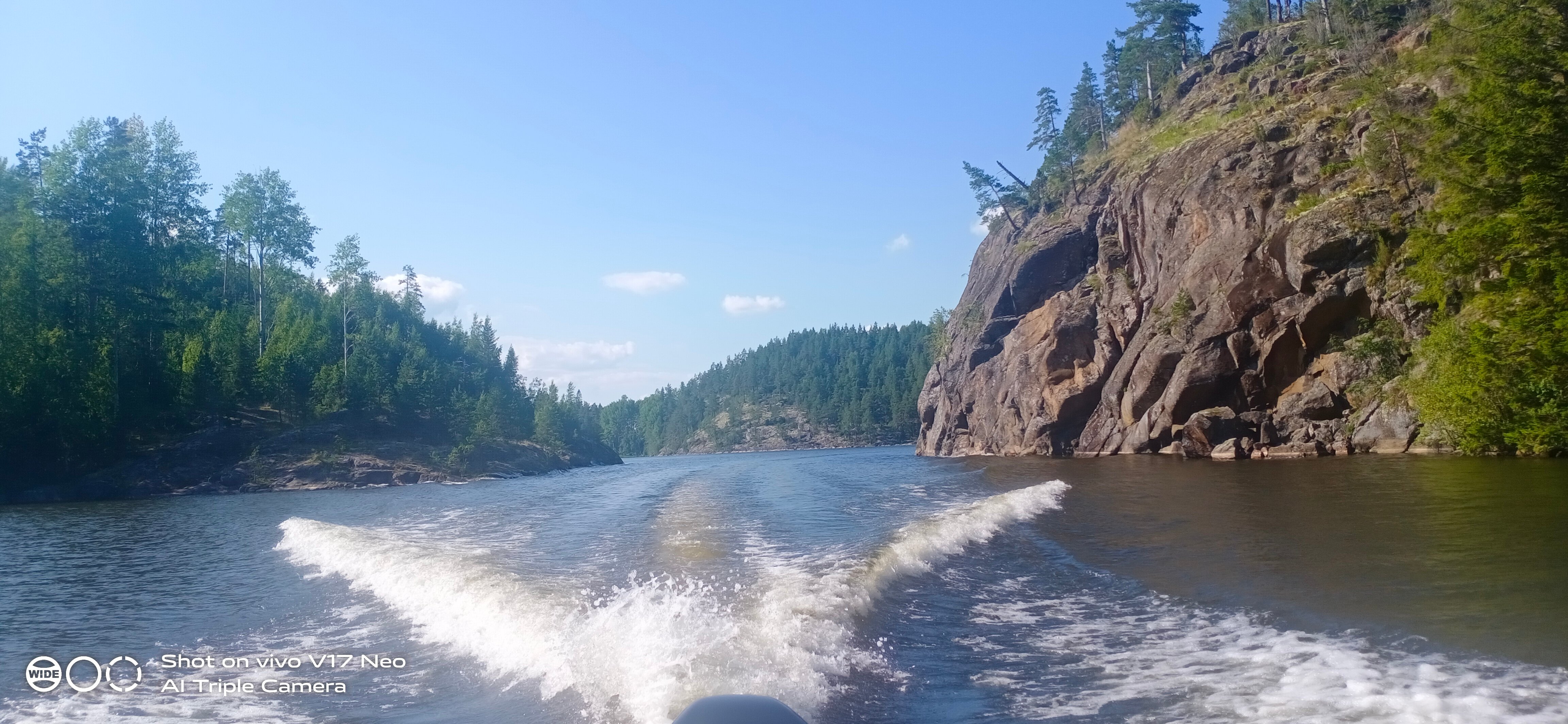 Фото Forest Park