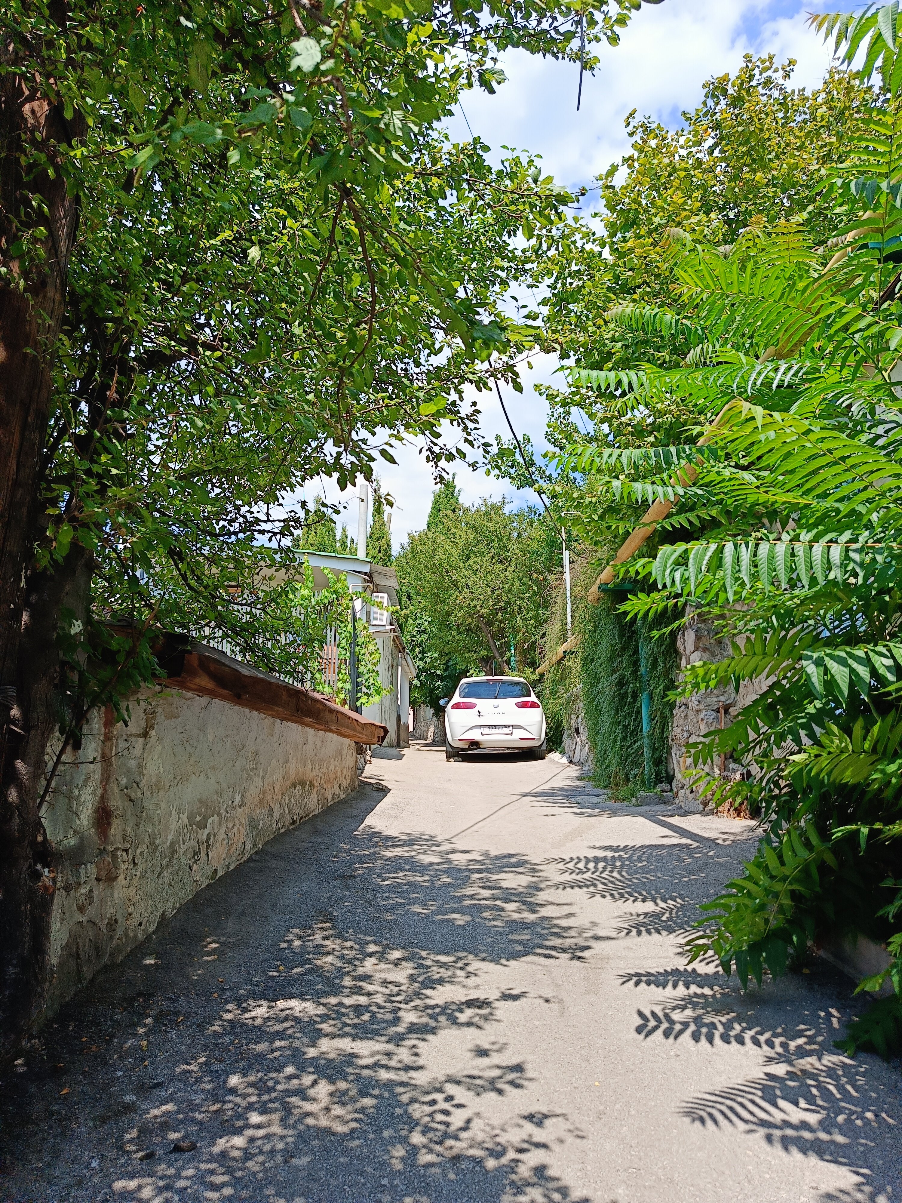 Фото Гур-Гур