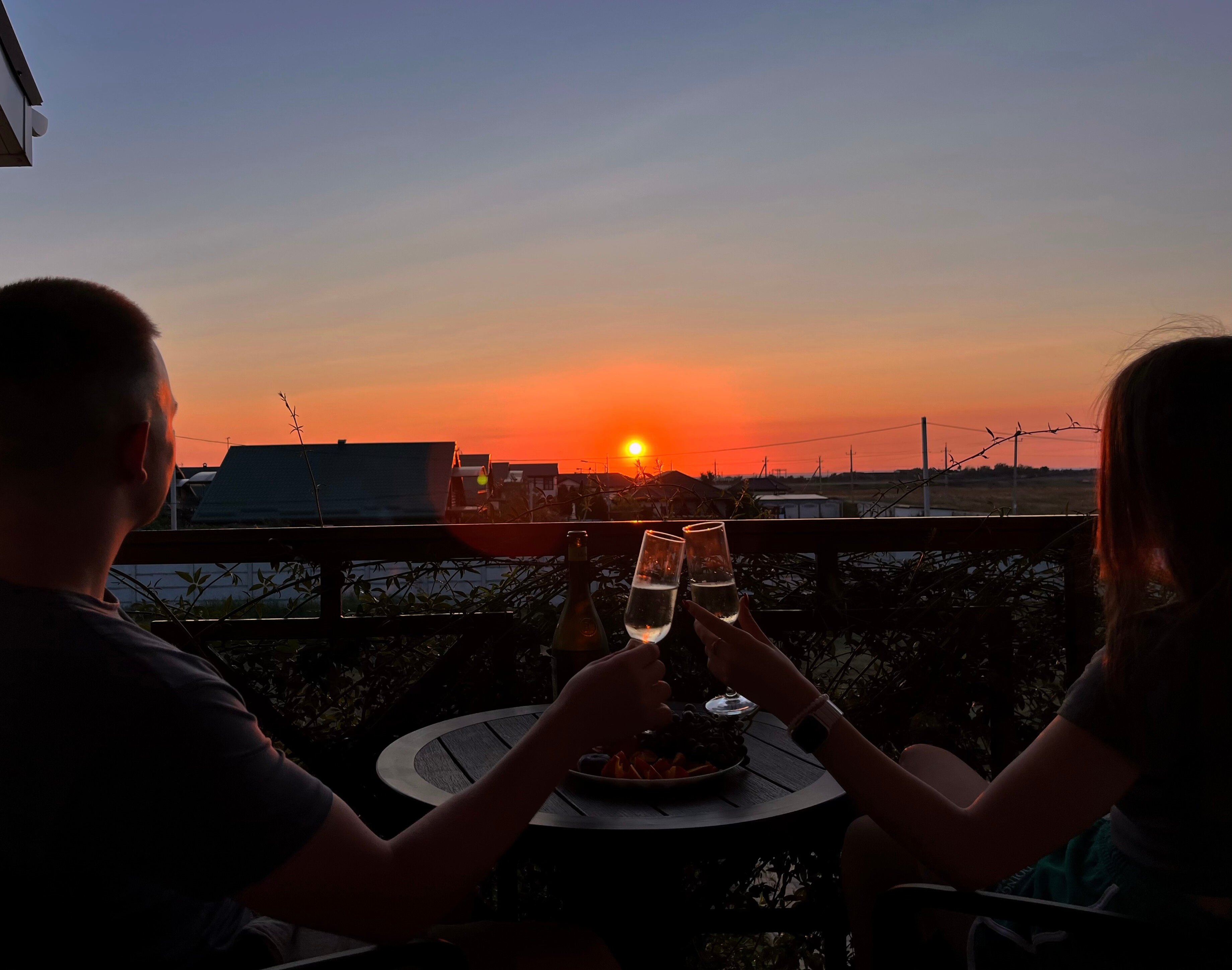 Фото Сантолина