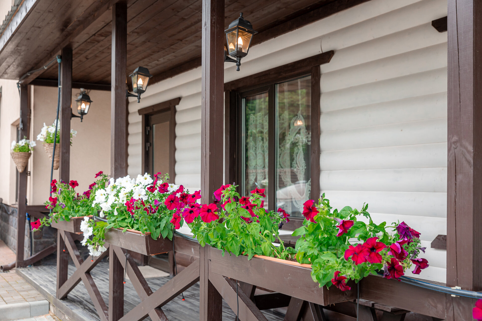 Фото Медвежка