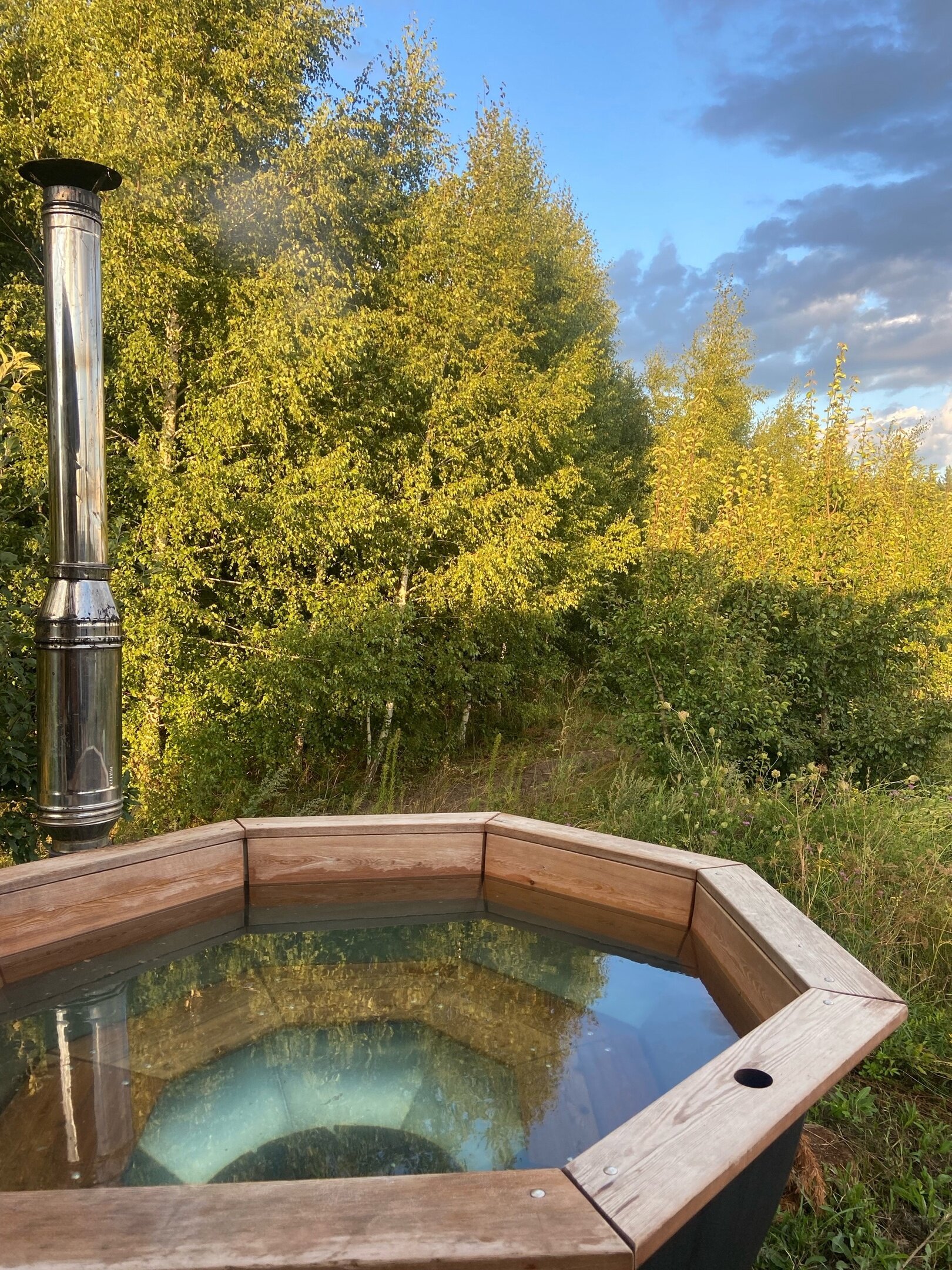 Фото Forest chan