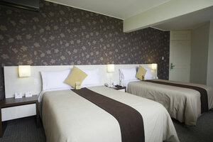 Гостиница Palmetto Hotel