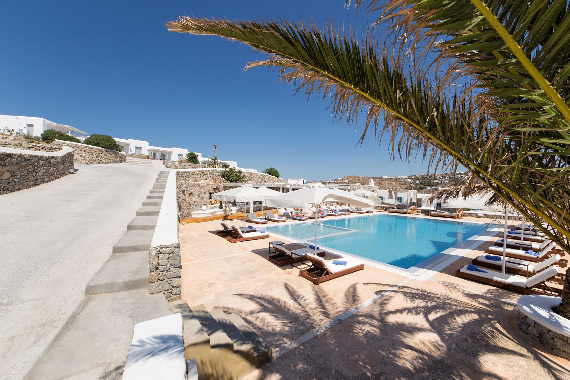 Фото Osom Resort