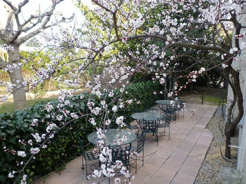 Фото Hotel Ulysse Montpellier Centre Corum