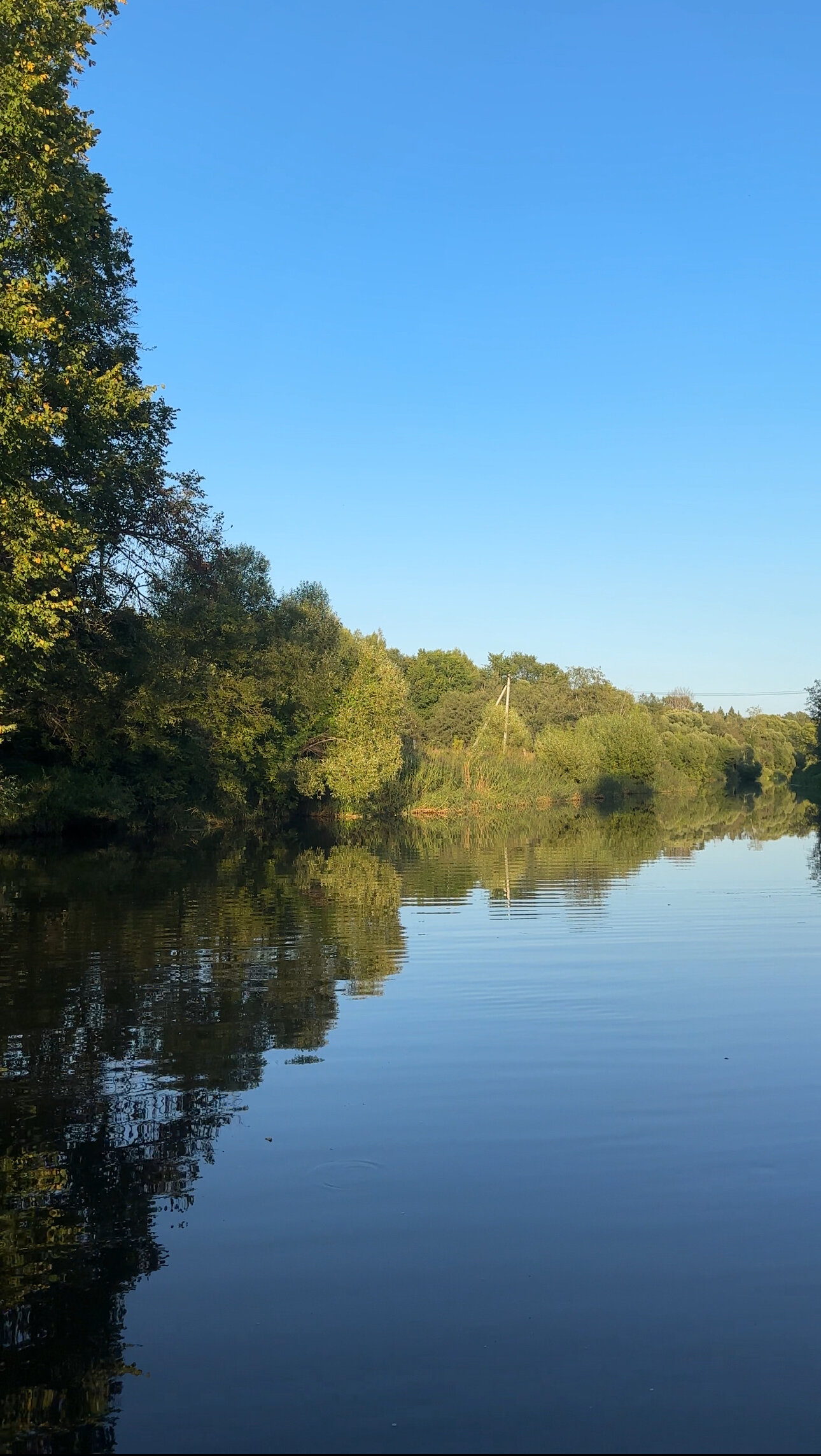 Фото Сметана