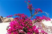 Фото Бедуин мун отель Дахаб