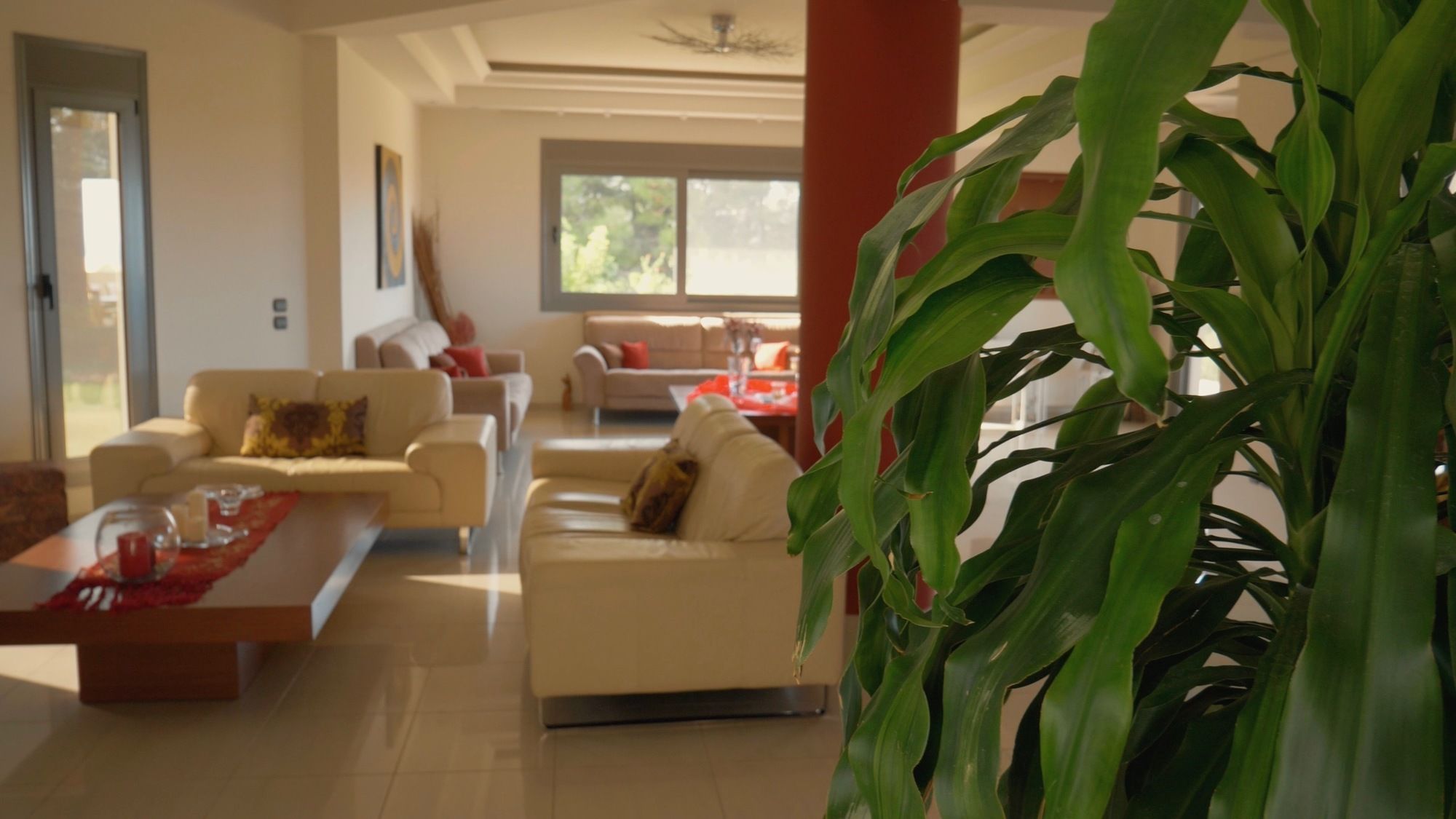 Фото Villa Artemis