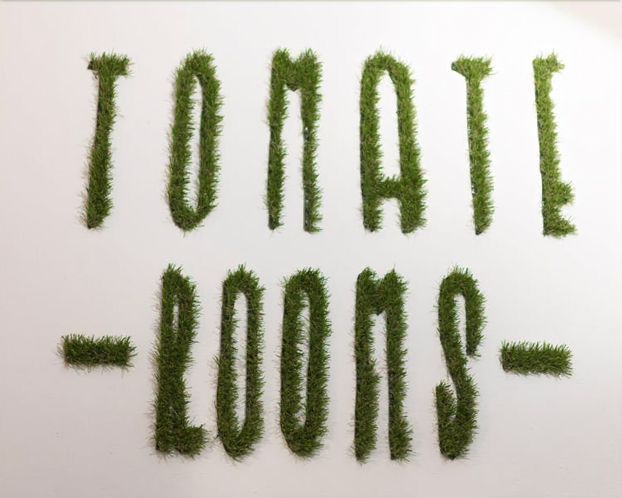 Фото Tomate Rooms