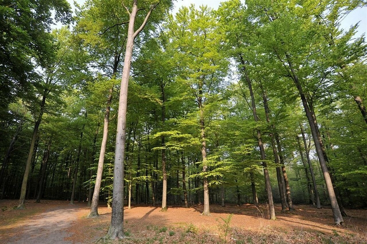 Фото Hotel Mastbosch Breda