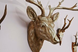 Гостиница Hotel Elch