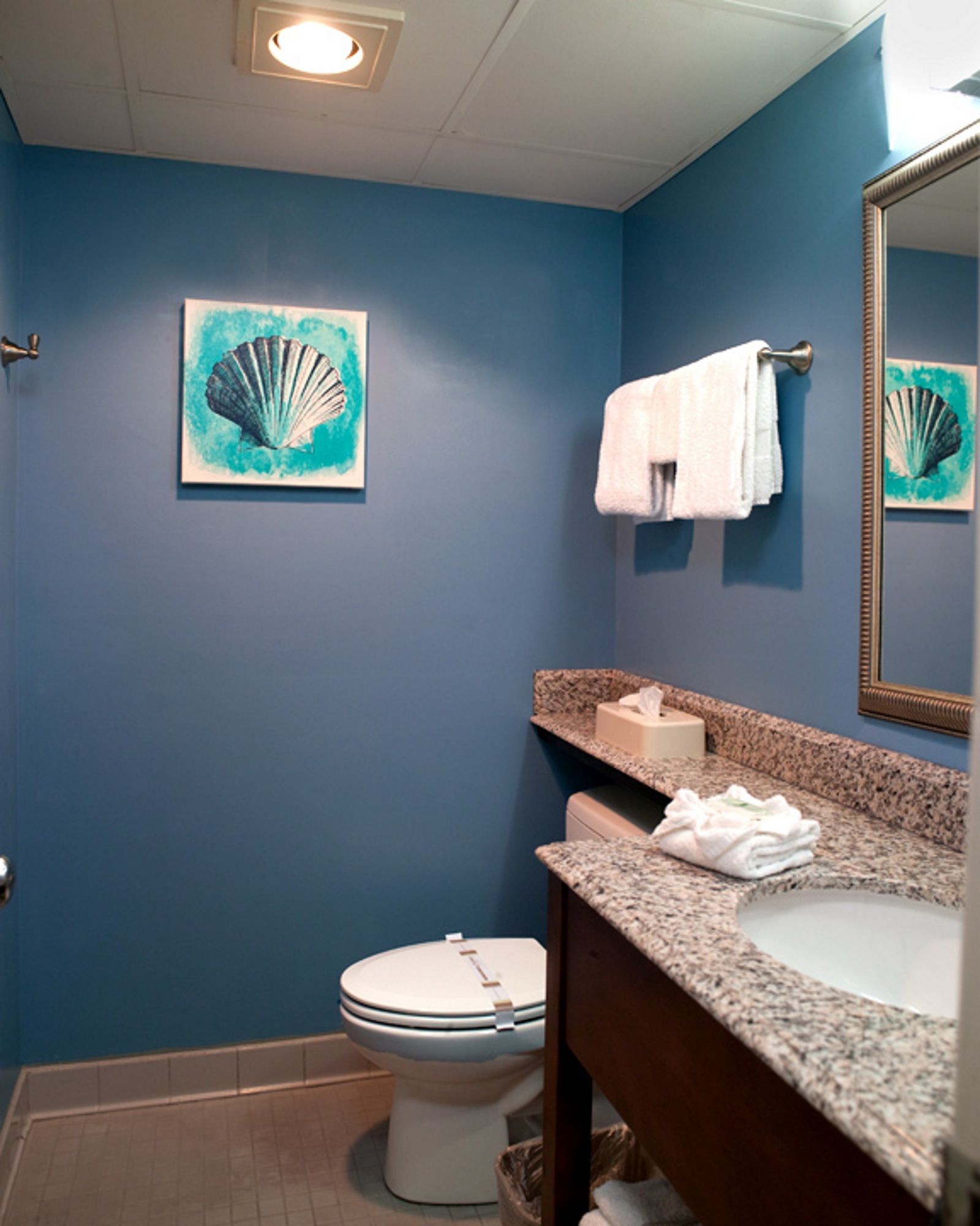 Фото Cayman Suites Hotel