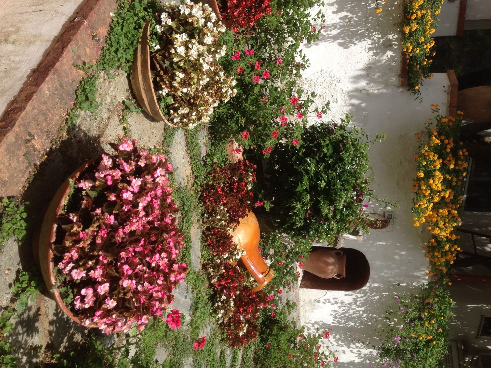 Фото Mediterraneo