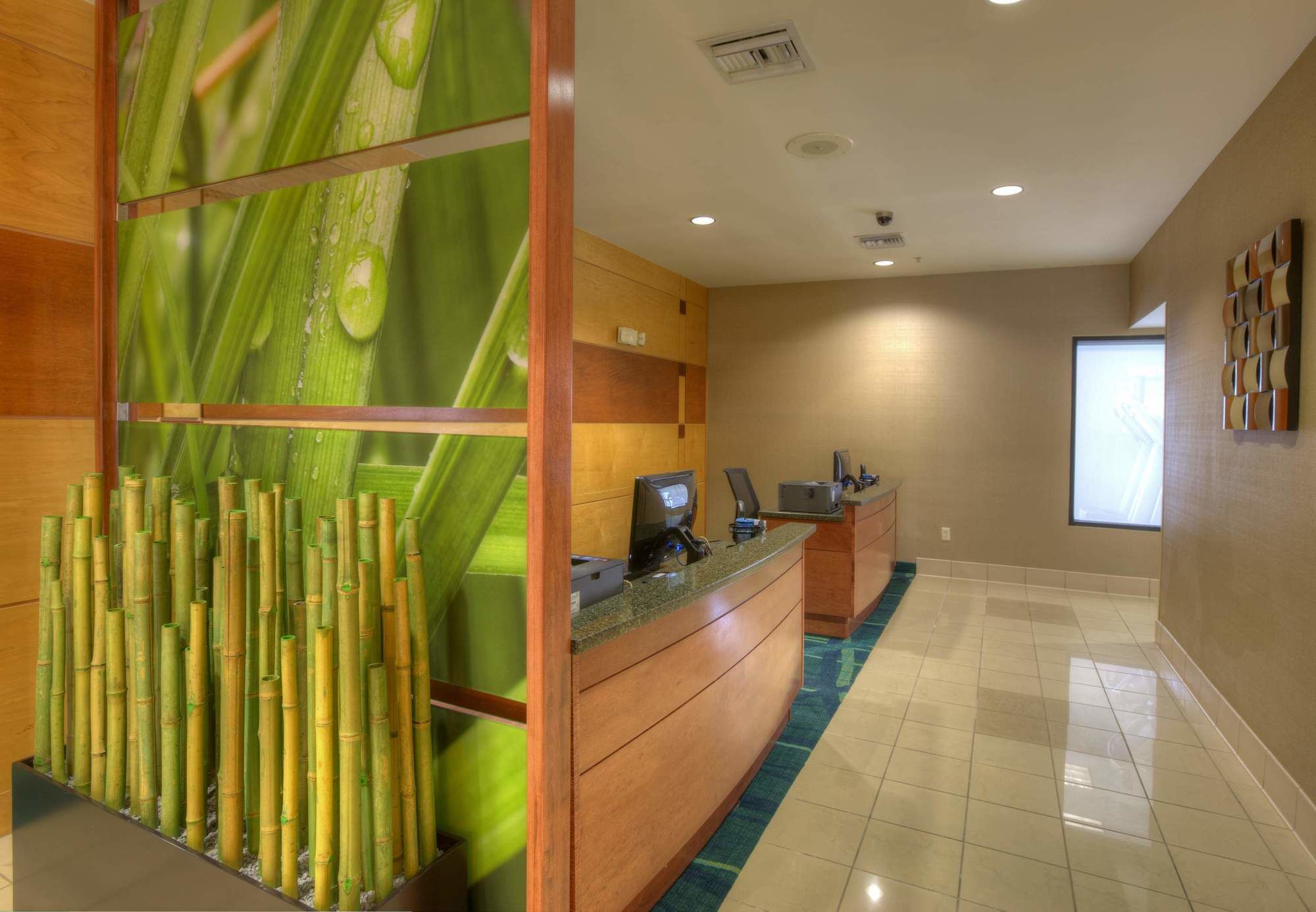 Фото Springhill Suites by Marriott Tampa Brandon