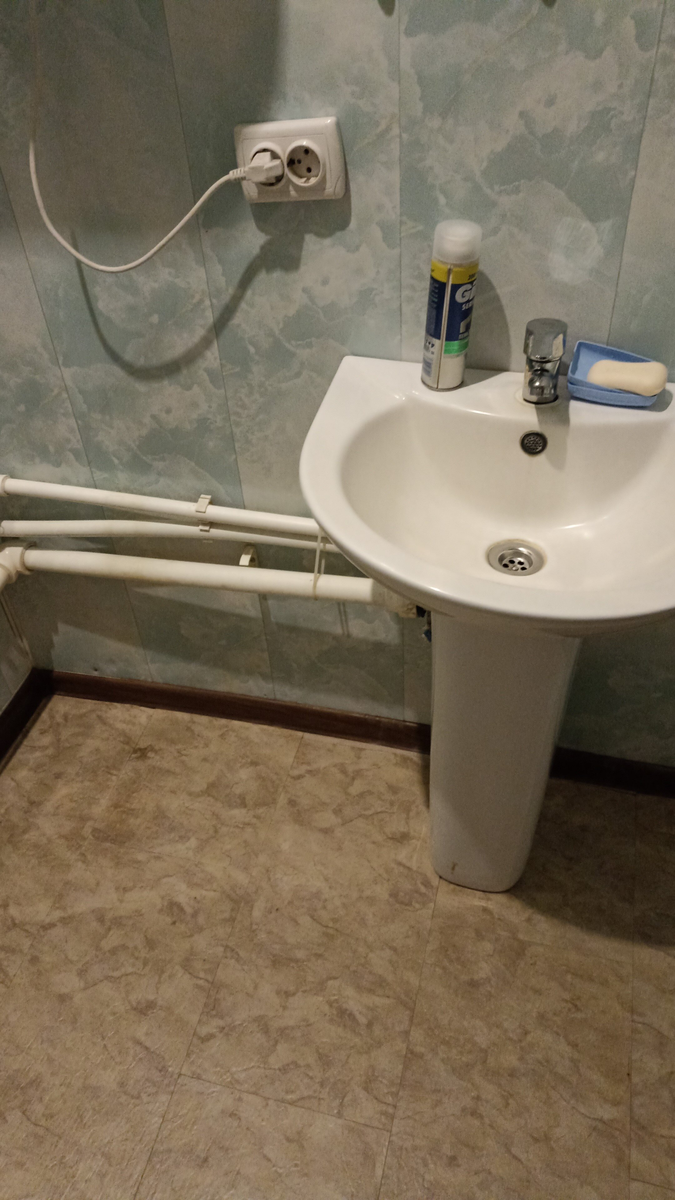 Фото Золотая рыбка