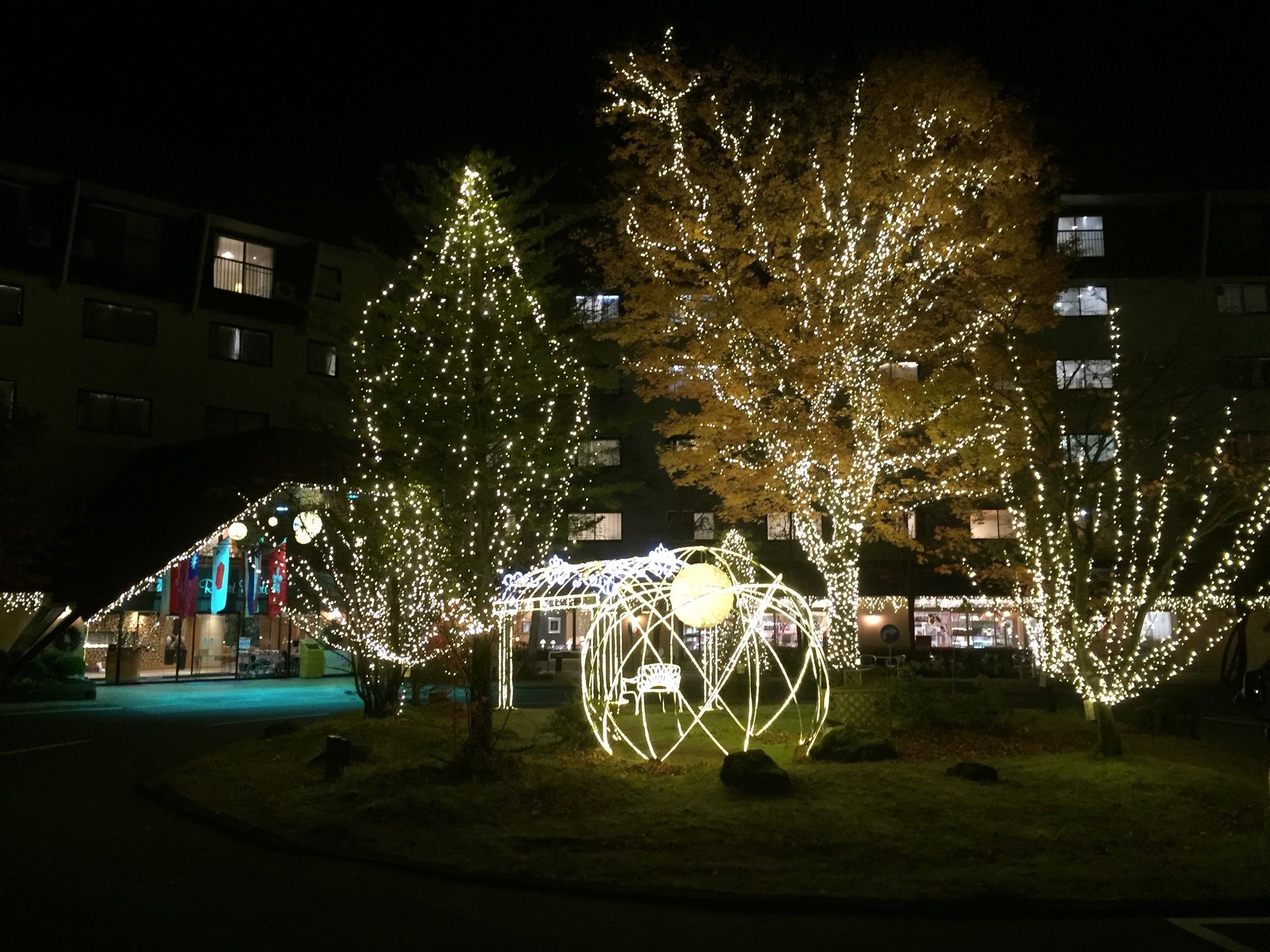 Фото 181965387168