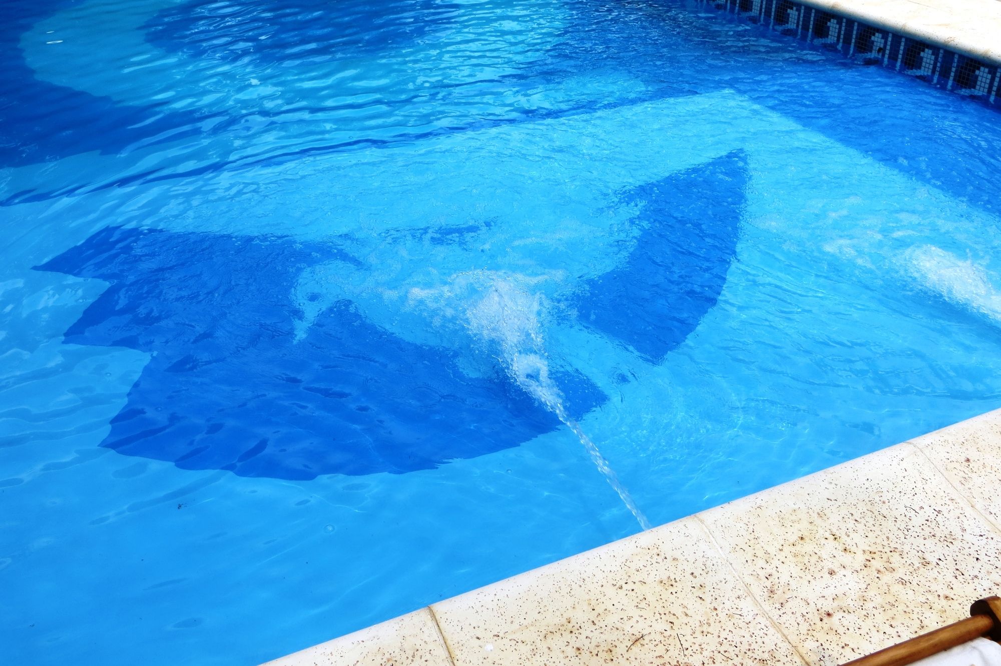 Фото Rainforest Hotel & Cabañas