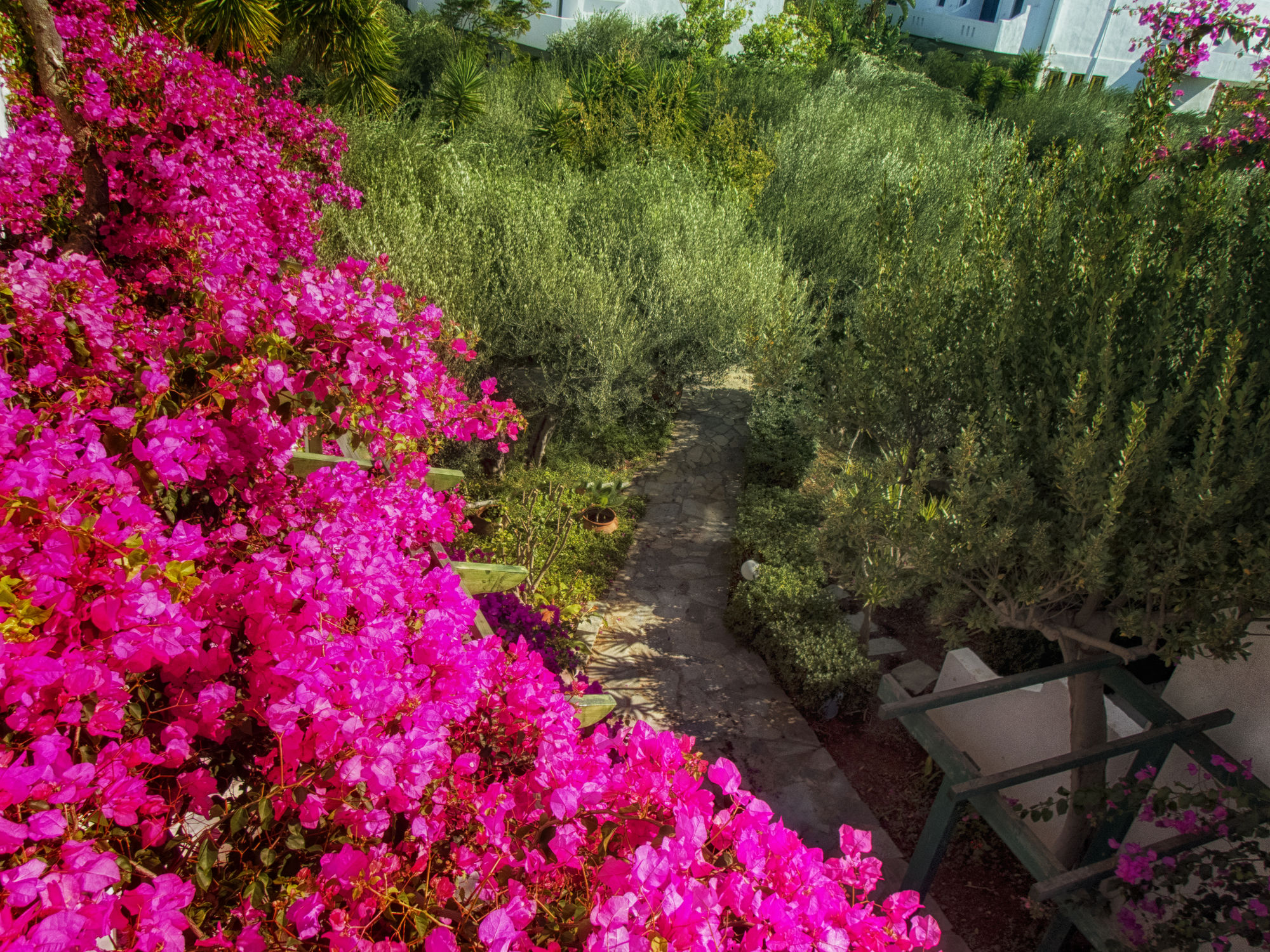 Фото Villea Village