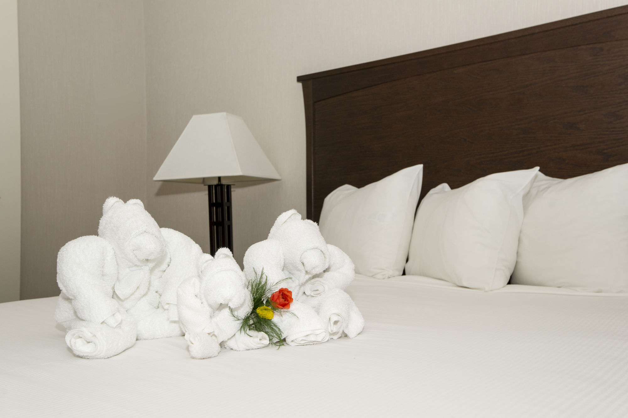 Фото Quality Inn & Suites Yellowknife