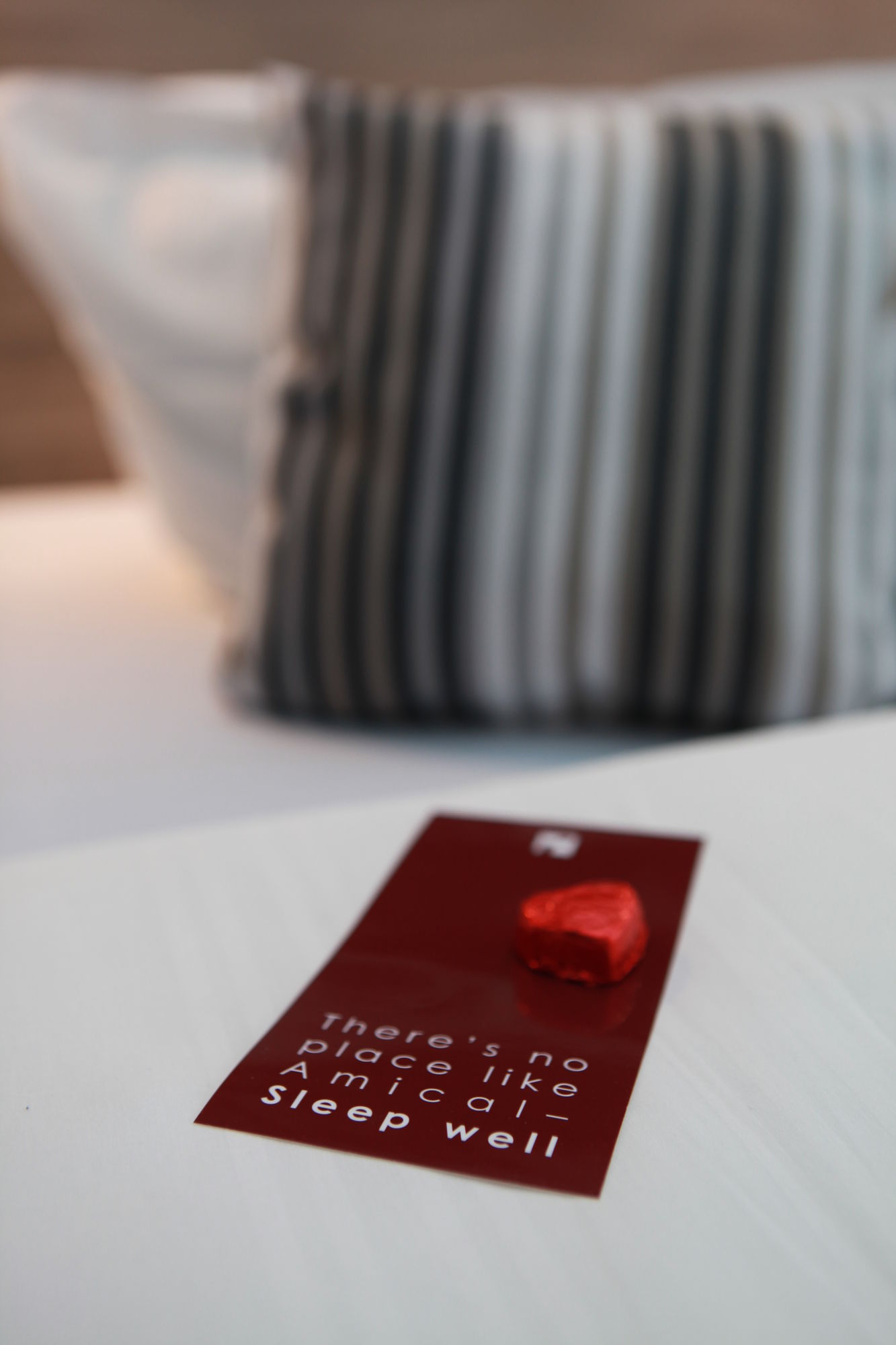 Фото Hotel Amical