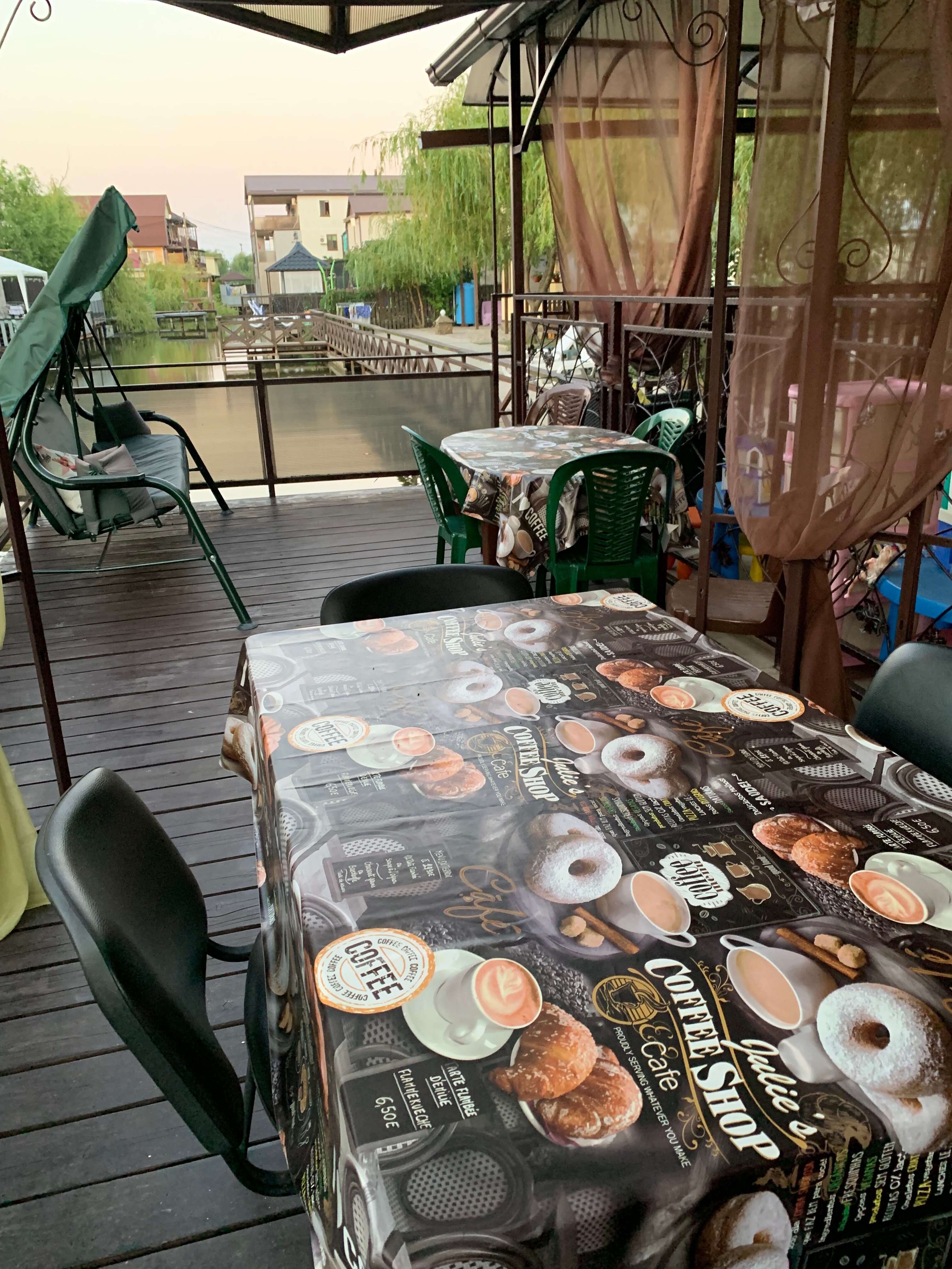 Фото Магнолия