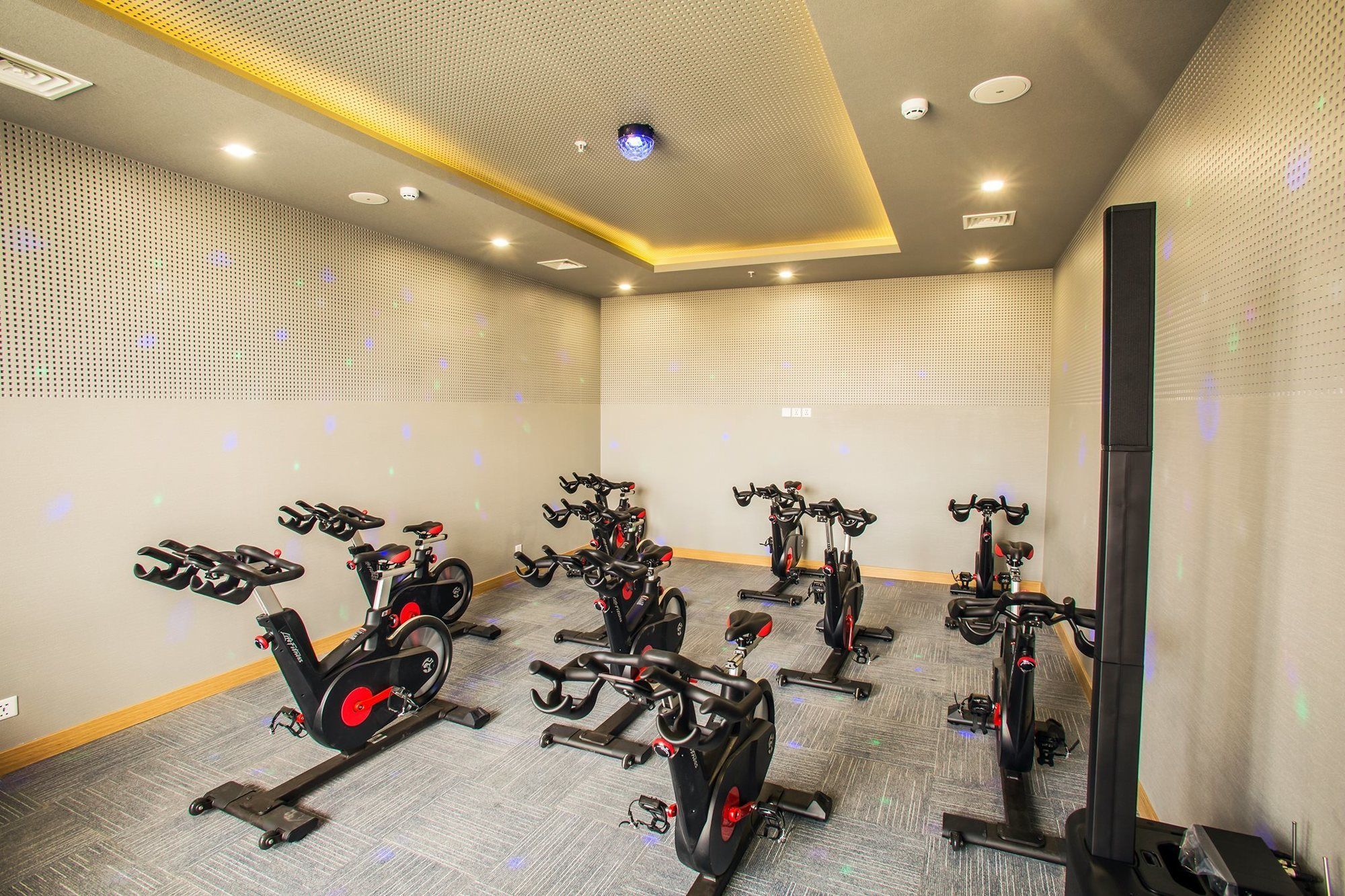 Фото Holiday Inn Ulaanbaatar by IHG