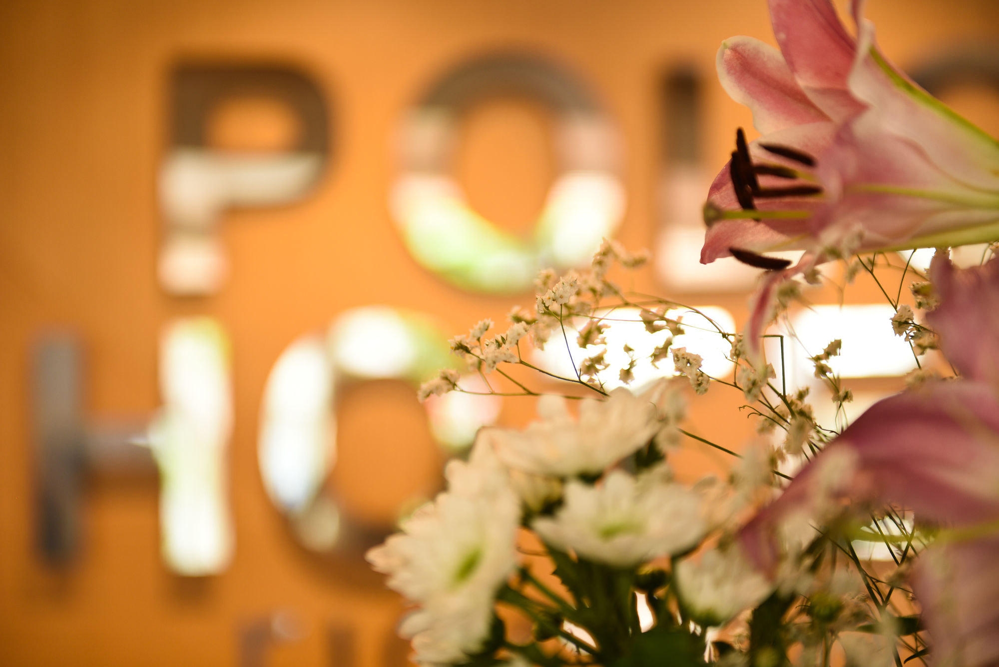 Фото Polo Younique Hotel