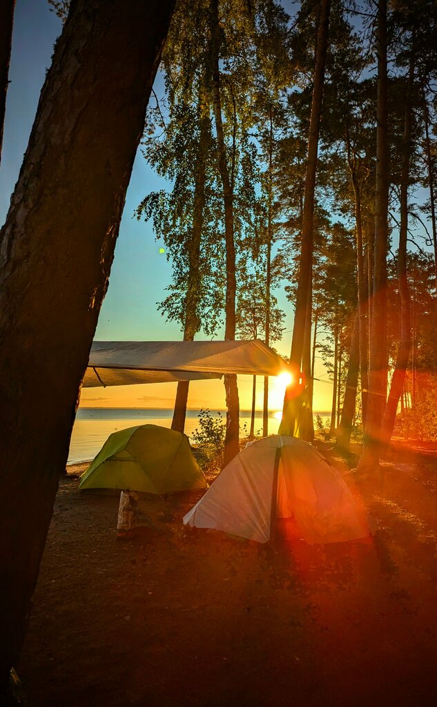 Piknik üçün yer Место для пикника, Sankt‑Peterburq və Leninqrad vilayəti, foto