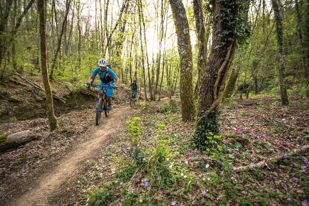 Фото Albergo Angiolino