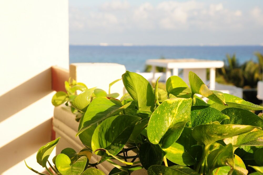 Фото Hotel Posada Sian Ka'an