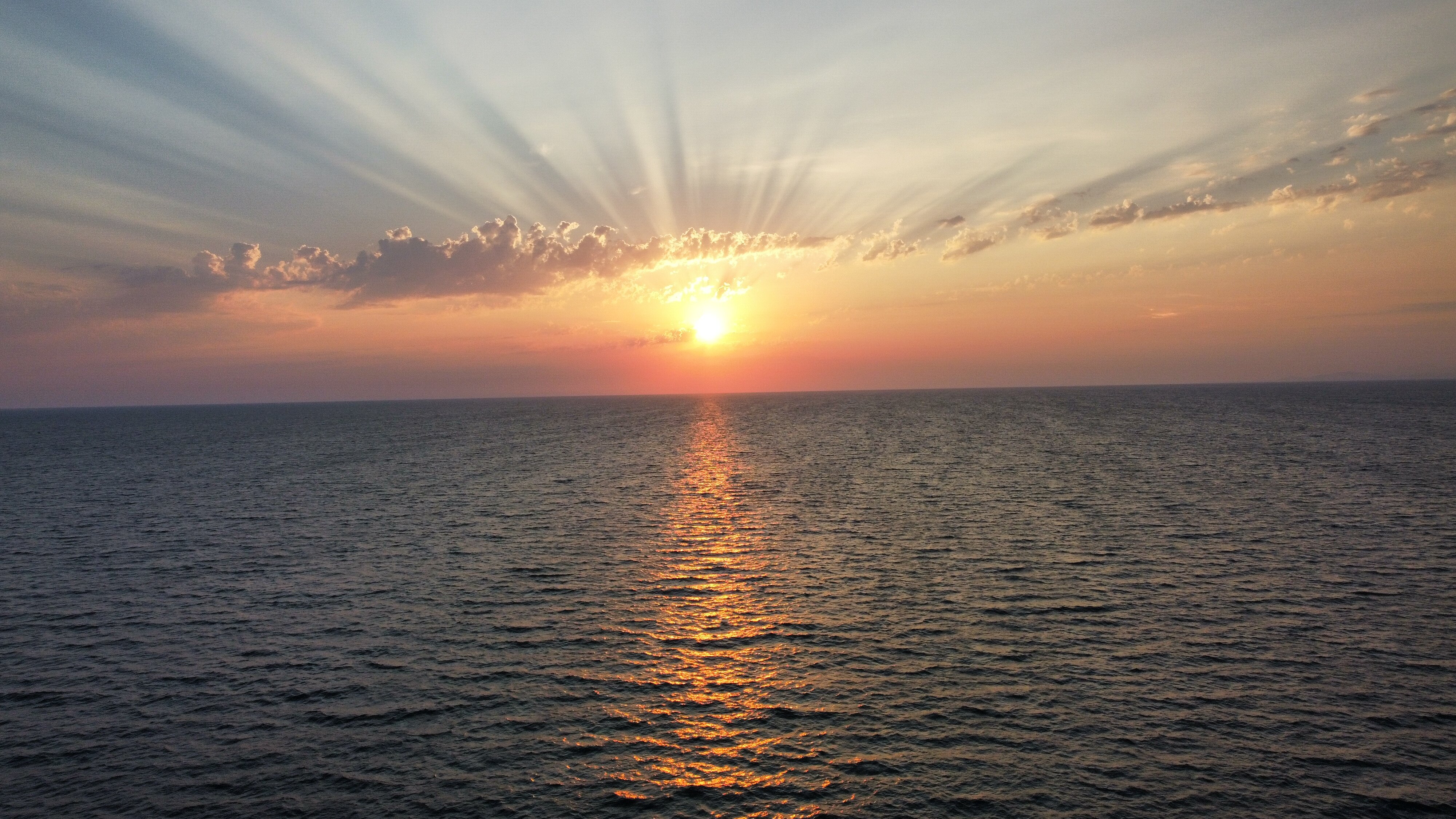 Фото Платан-Paradise