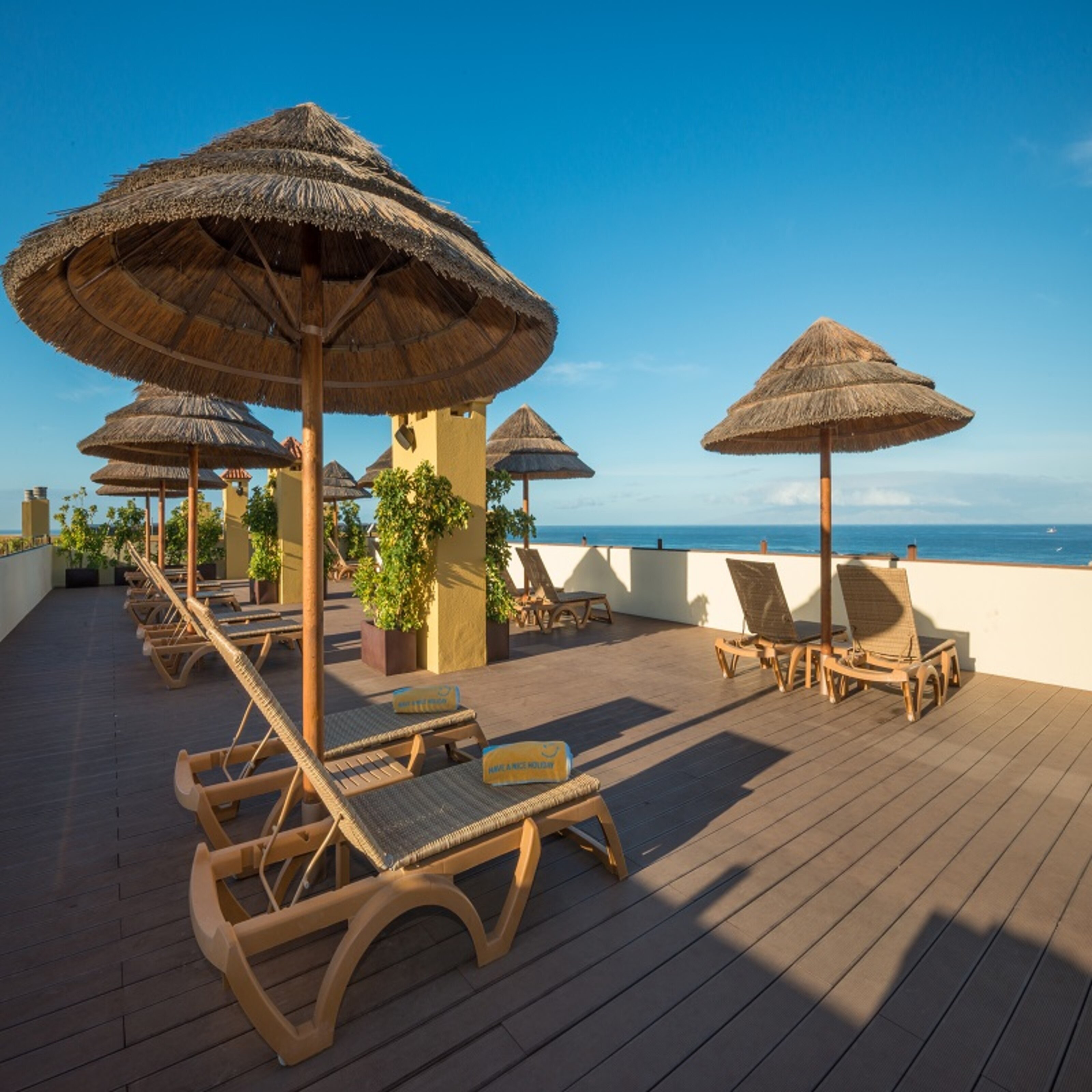 Фото Hovima Jardin Caleta