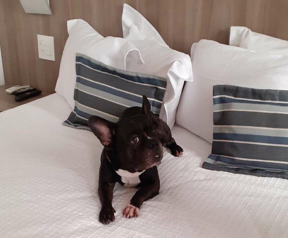 Фото Allia Gran Pampulha Suites