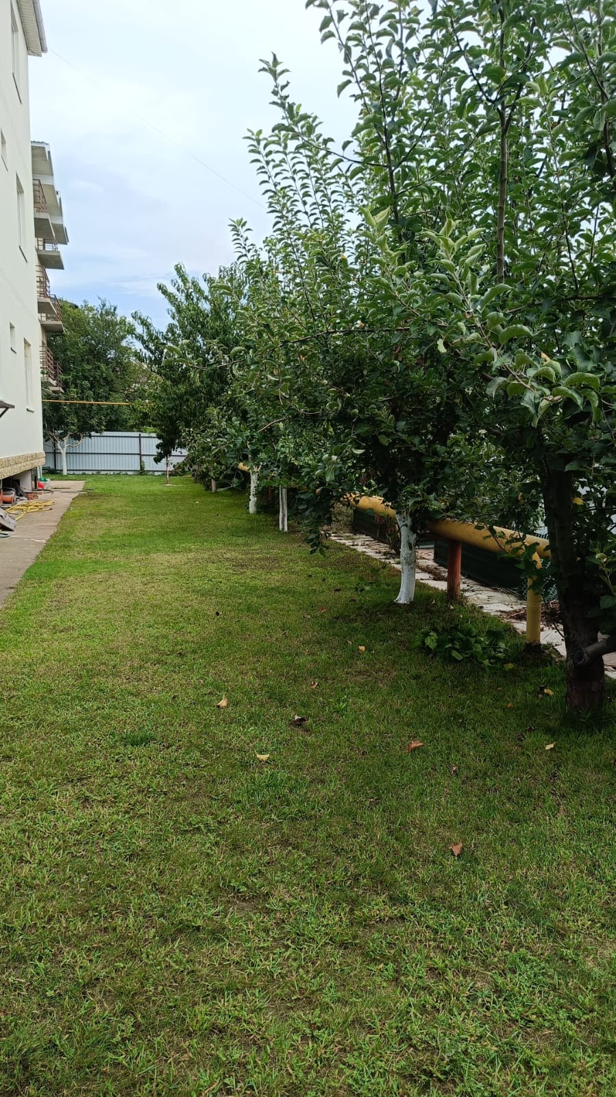 Фото В дюнах Анапы