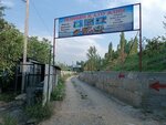 Толойкон (Ош, улица Алымбека датки), бассейн в Оше