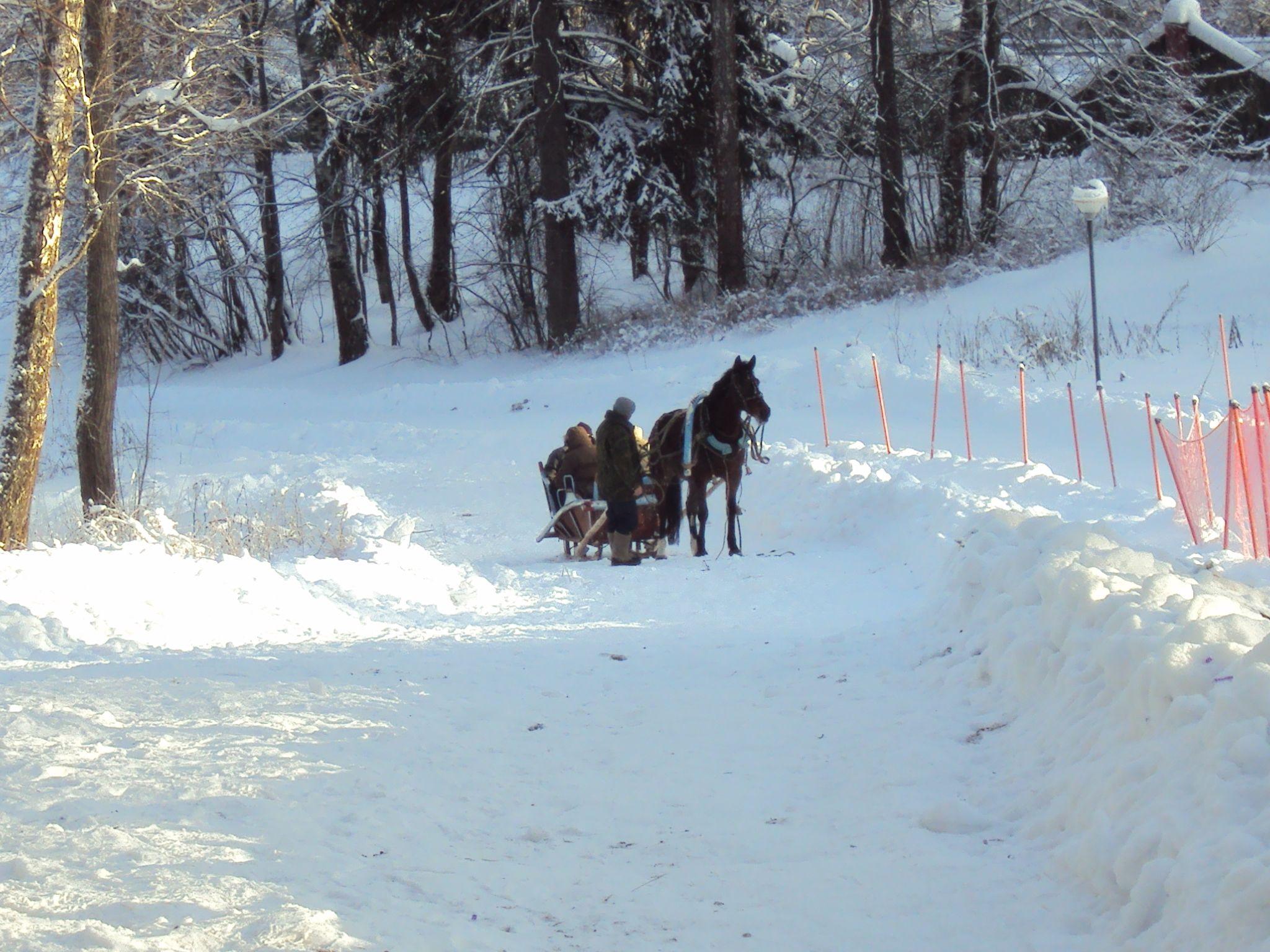Фото Абрамцево