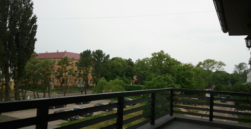 Фото Стрекоза