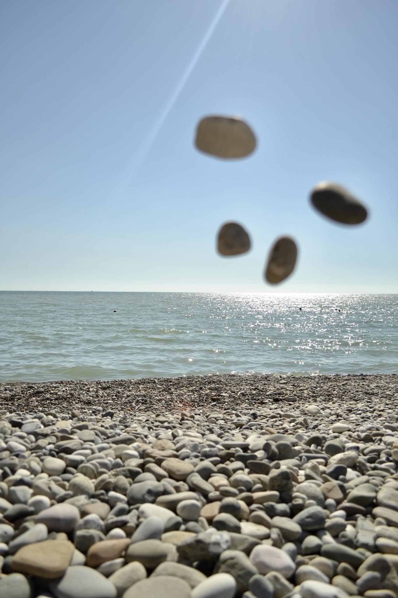 Фото Zёbra House